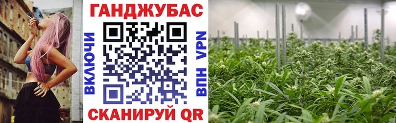 Марихуана план  Купить закладки  Норильск 